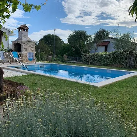 Leone Бртонигла