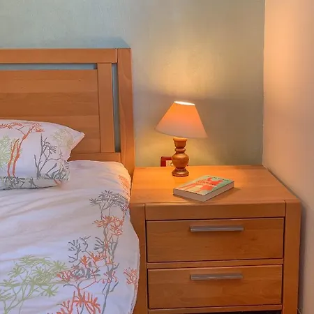 Leone Апартаменты *