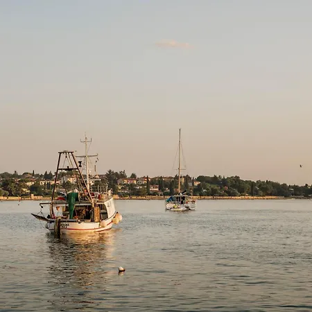 Leone Бртонигла