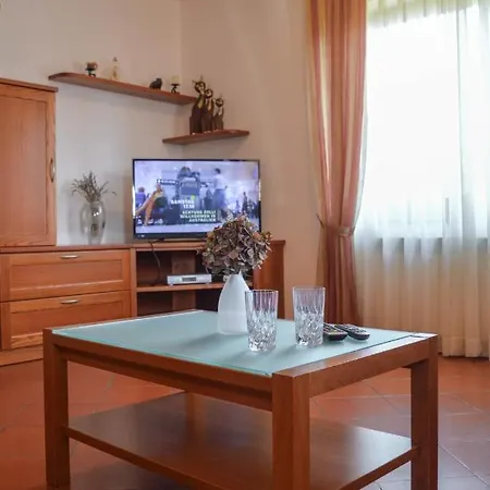 Leone Apartman Brtonigla