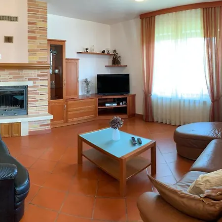 Leone Apartman Brtonigla