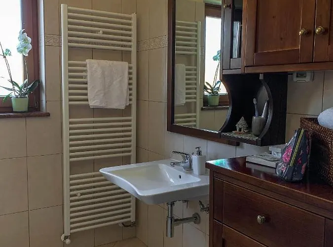 Leone 브르토니글라