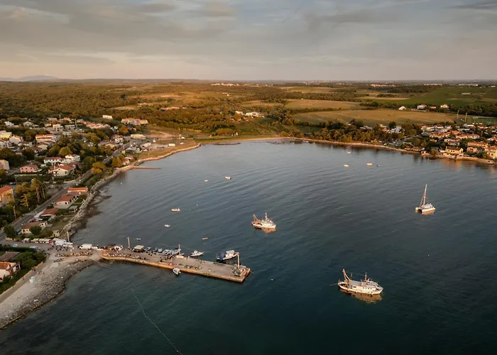 Leone * 브르토니글라